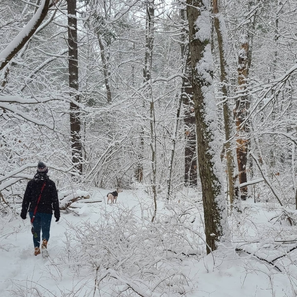 New Englander giving new homes to New England things. - Picture 2 of 2